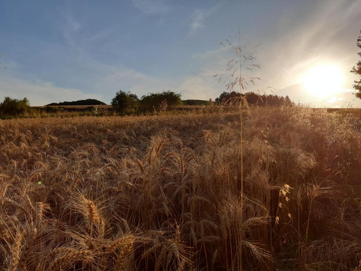 Agroturystyka Tam Gdzie Sosny Scinawka Dolna Exterior photo