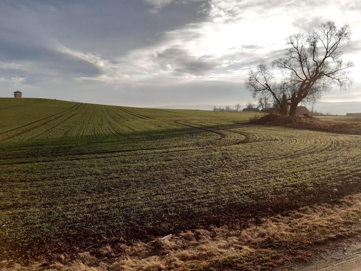 Agroturystyka Tam Gdzie Sosny Scinawka Dolna Exterior photo